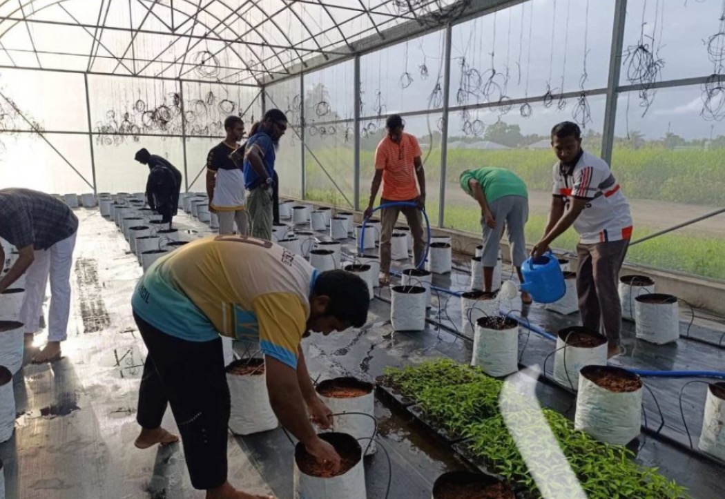 މެޕްގެ ދަށުން ގްރާންޓު ލިބޭ ދަނޑުވެރިންނާއެކު އެއްބަސްވުން ހަދަން ފަށައިފި