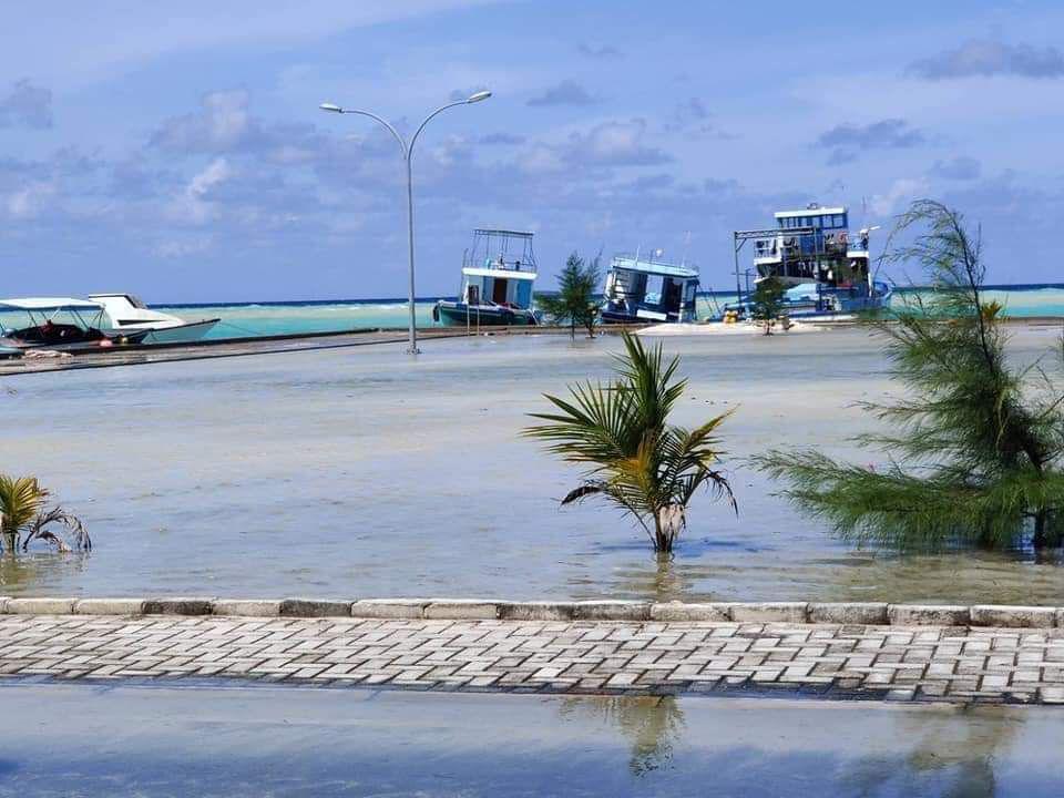 ތިނަދޫއަށް އުދައަރާފައި