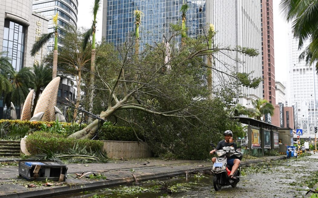 Trees were uprooted in the coastal city of Haiphong. Photo: AFP / Yang Guanyu