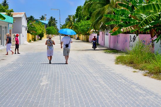 އައްޑޫ ސިޓީ މީދޫ މަގެއްމަތި:އެރަށުން އުމުރުން ދުވަސްވީ 3 އަންހެނުން ރޭޕް ކުރަން އުޅުނު ޒުވާނަކު ވަނީ ހައްޔަރުކޮށްފަ