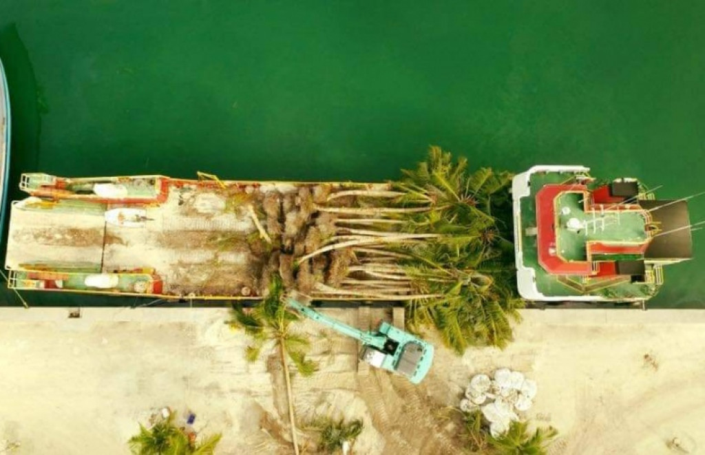 ދެރުއް ދޭތެރޭގައި ތާށިވެ މީހަކު މަރުވެއްޖެ