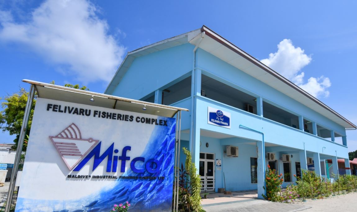 ފެލިވަރު ހިޔާނާތުގެ މައްސަލަ ސާބިތެއްނުވި