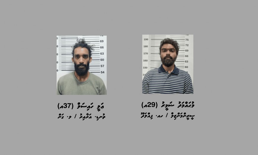 ވަޅިން ބިރުދައްކައިގެން ފައިސާ ފޭރުނު ދެމީހަކު ހައްޔަރުކޮށްފި