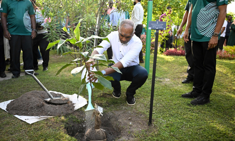 President advocates for tree planting as a key environmental strategy