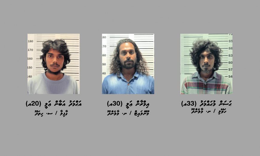 ލަންދުއަށް މަސްތުވާތަކެތި އެތެރެކުރި ތިން މީހަކު ހައްޔަރުކޮށްފި