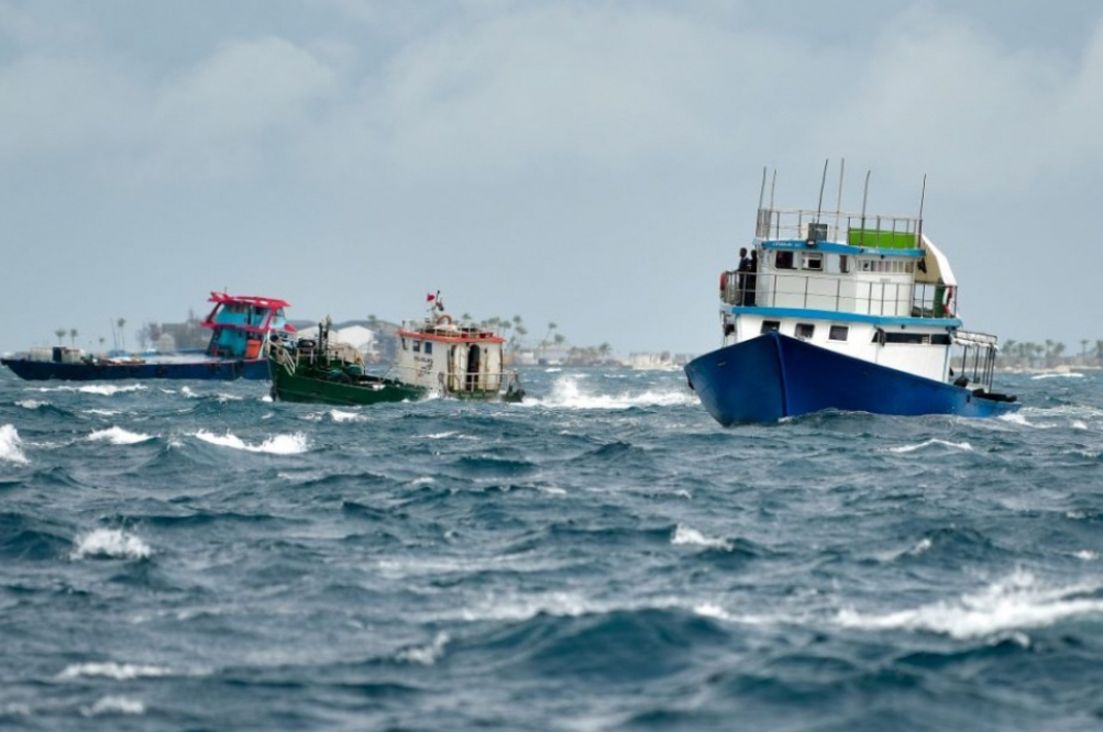 މޫސުން ގޯސް، ބޮޑު ސަރަހައްދަކަށް ވައިޓް އެލާޓް