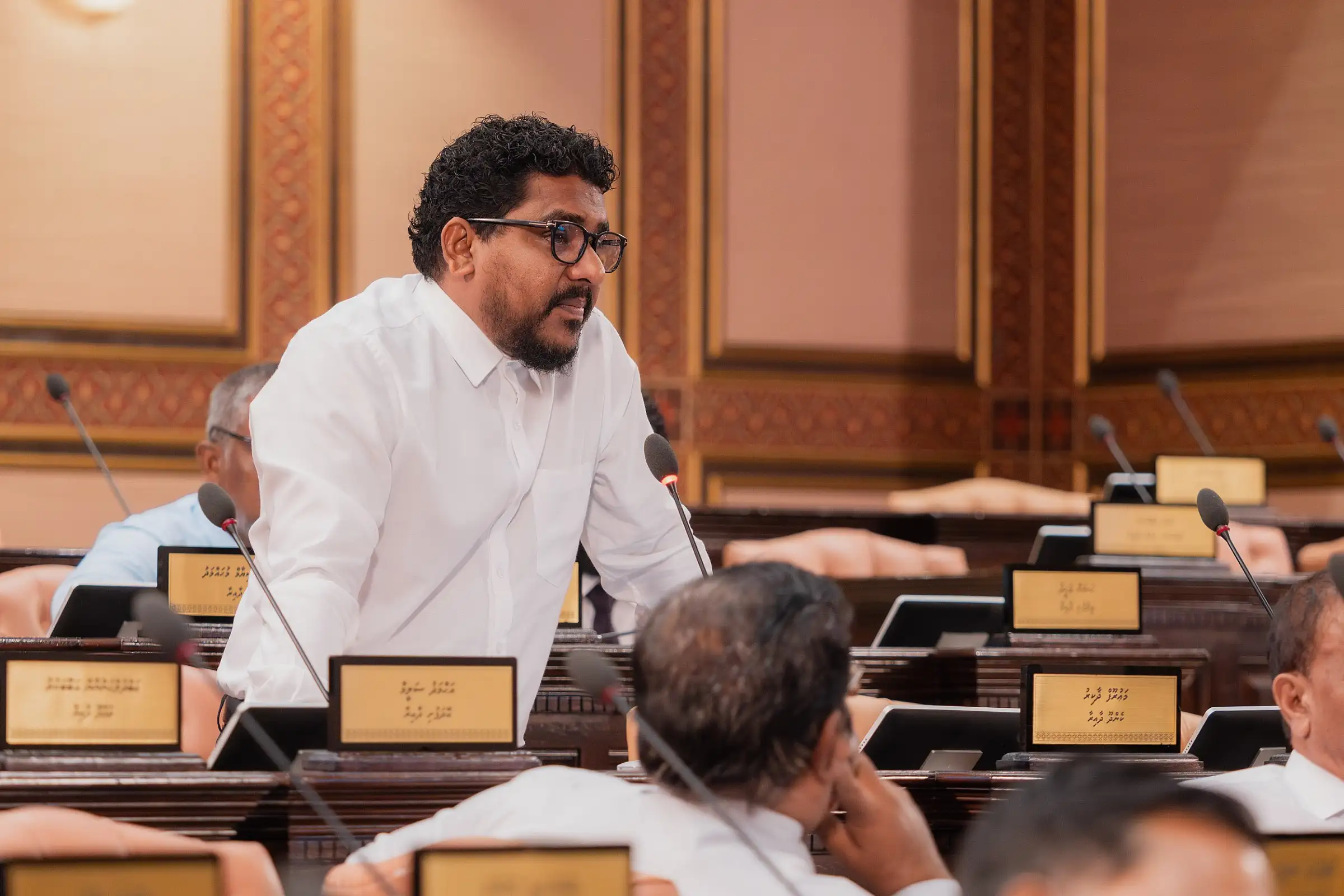 ރައްޔިތުންގެ މަޖިލީހަށް ރައްޔިތުން މިހާރު ވެސް ކިޔަނީ ބަކަރިކޮށި: މައުރޫފް