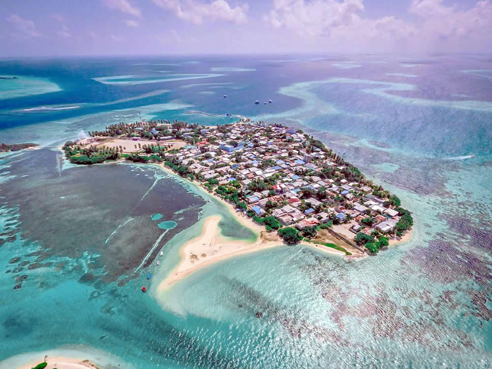 ގުރައިދޫން ފެނުނީ މަންކީ ޕޮކްސެއް ނޫން: އެޗްޕީއޭ