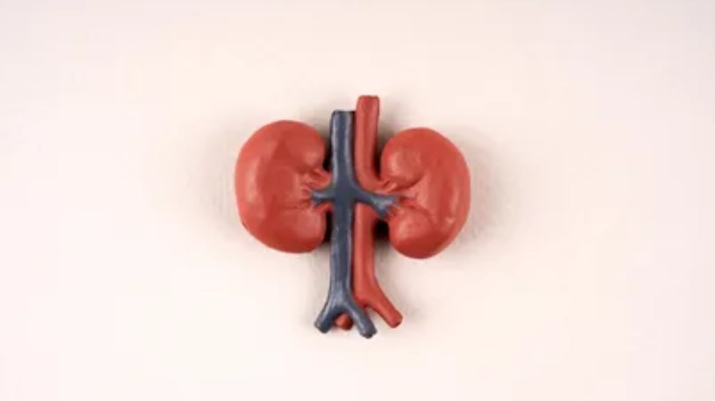 ކިޑްނީގެ ސިއްހަތު ރަނގަޅުކުރުމަށް ކާންވީ ސުޕަފުޑްތައް