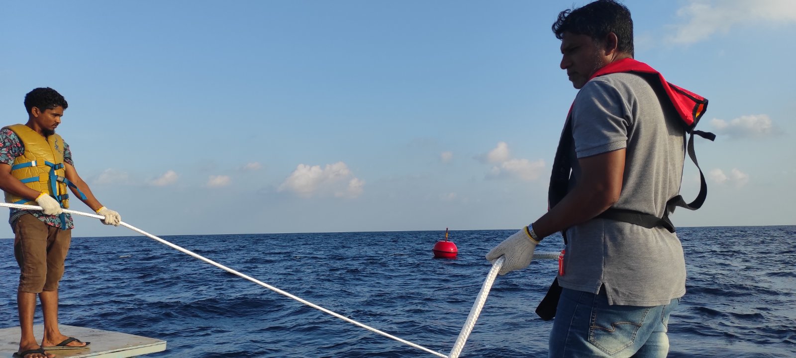 ކޮމަންޑޫއަށް މަސް ކަނދުފައްޗެެއް