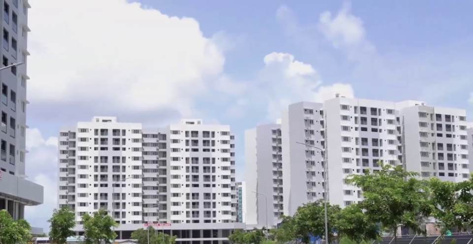 ވިނަރެސް ފްލެޓް ބަލައިލުމުގެ ފުރުސަތު އާދިއްތަ ދުވަހުން ފެށިގެން ދެނީ