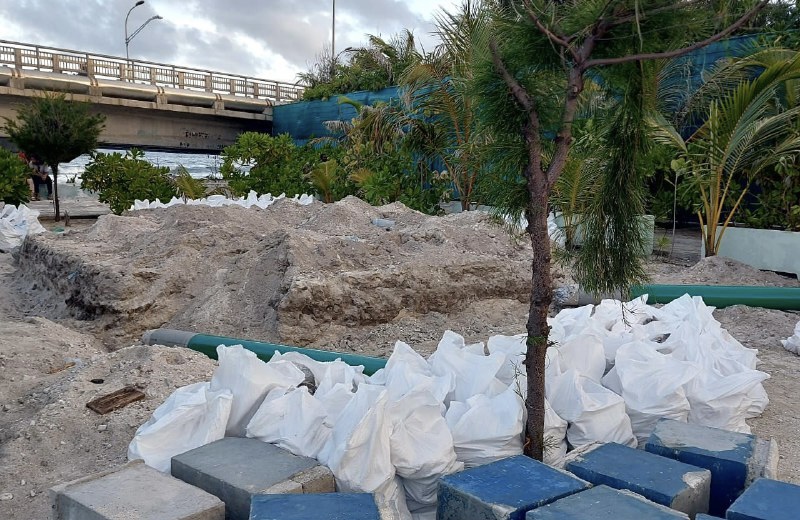 ރީކޯ މޫސަ ގޮވާލެއްވީ ރާޅު ކުދިންގެ ބިން އެކުދިންނަށް ދިނުމަށް