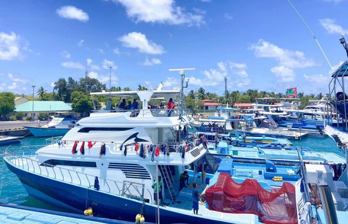 MIFCO to disburse MVR 17 million to Fishermen before next week