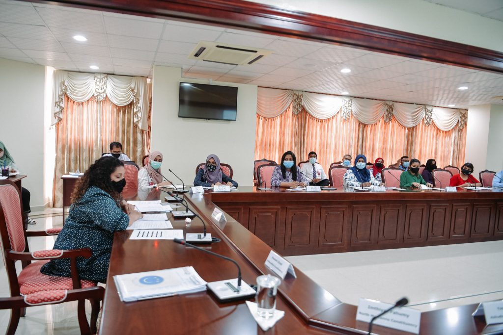 During the parliaments Human Rights and Gender Committee meeting.