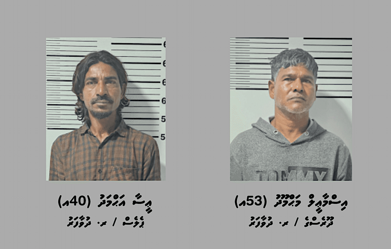 ދުވަފާރަށް މަސްތުވާތަކެތި އެތެރެކުރަން އުޅުނުކަމުގެ ތުހުމަތުގައި ދެމީހުން ހައްޔަރުކޮށްފި