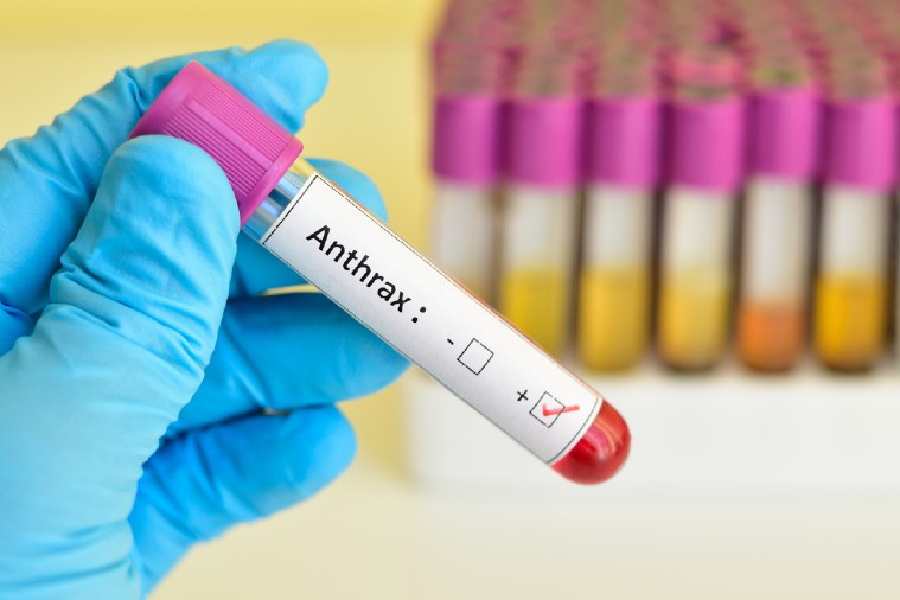 Thailand confirms first Anthrax death amid public health alert