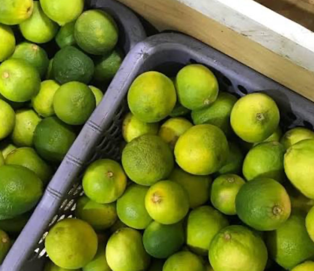 ލުނބޯ ކިލޯއެއްގެ އަގު 25 ރުފިޔާއިން 70 ރުފިޔާއަށް އުފުލިއްޖެ