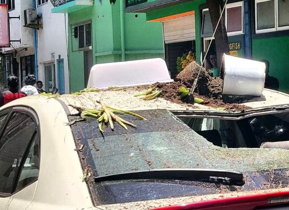 ގަސްމުށިތަކެއް ހުރި ފޮށިގަނޑެއް ޓެކްސީއެއްގެ މައްޗަށް ވެއްޓި، ބޮޑެތި ގެއްލުންތަކެއް!