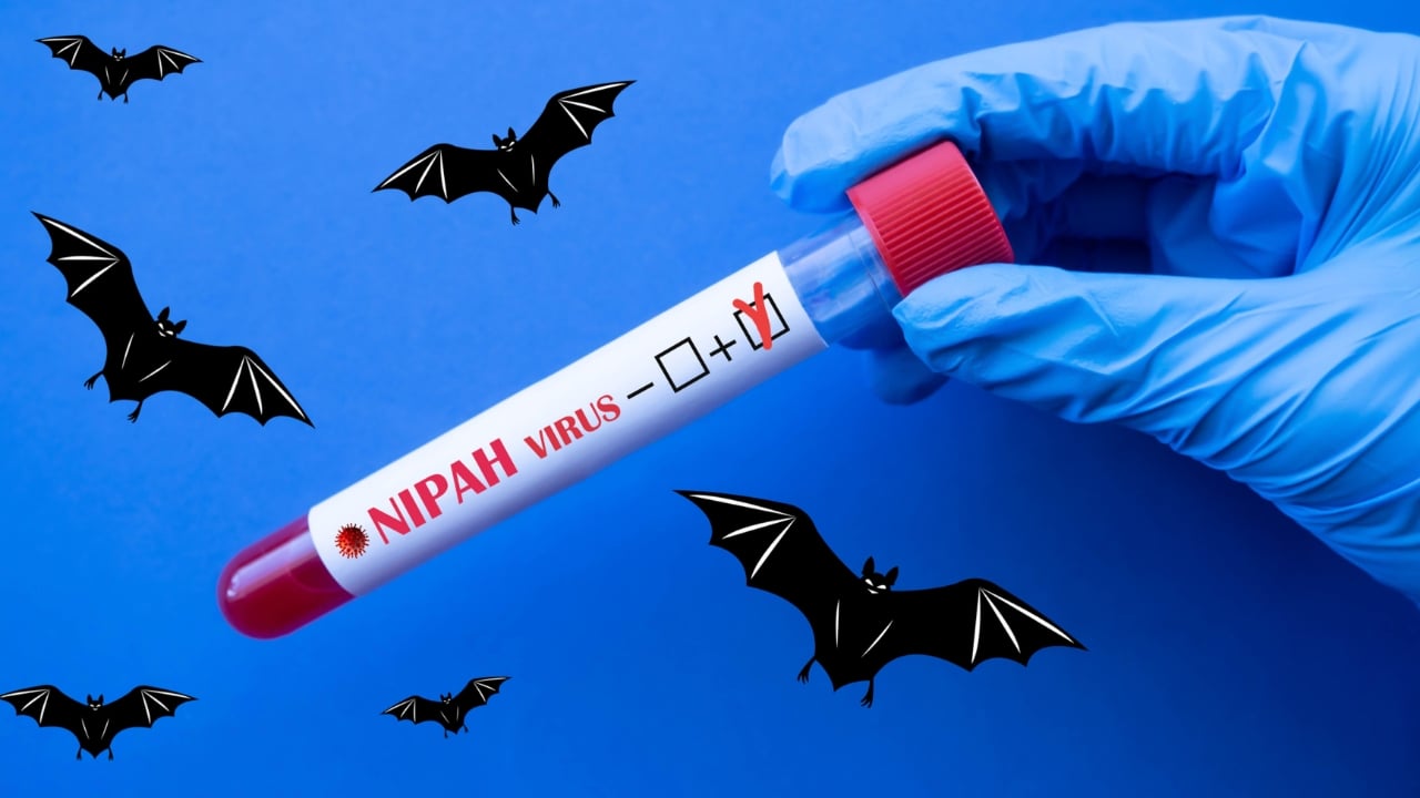 ނިޕާ ވައިރަސް: ރާއްޖެއަށް ނުރައްކާ ކުޑަ، ނަމަވެސް ވެސްޓް ބެންގާލްއަށް ދަތުރުކުރާނަމަ ސަމާލުވޭ- އެޗްޕީއޭއިން