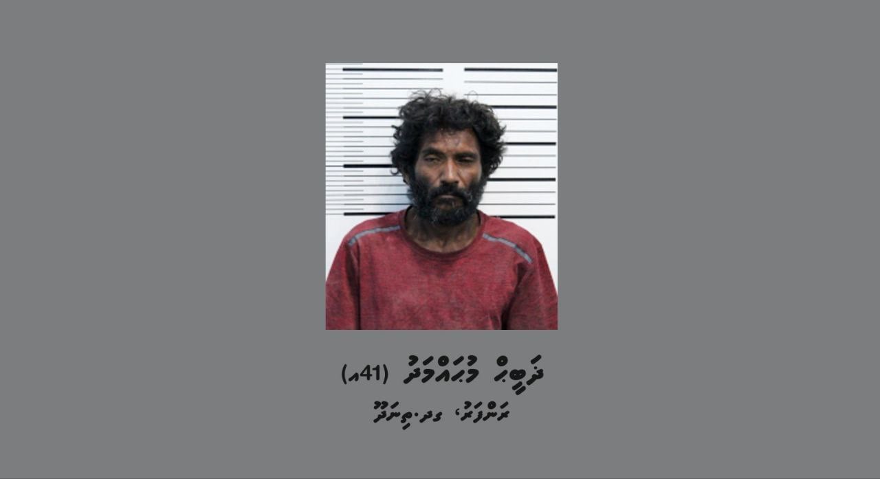 ފަތުރުވެރިއެއްގެ ދަބަހެއް ވަގަށް ނެގި މީހާ ހައްޔަރުކޮށްފި