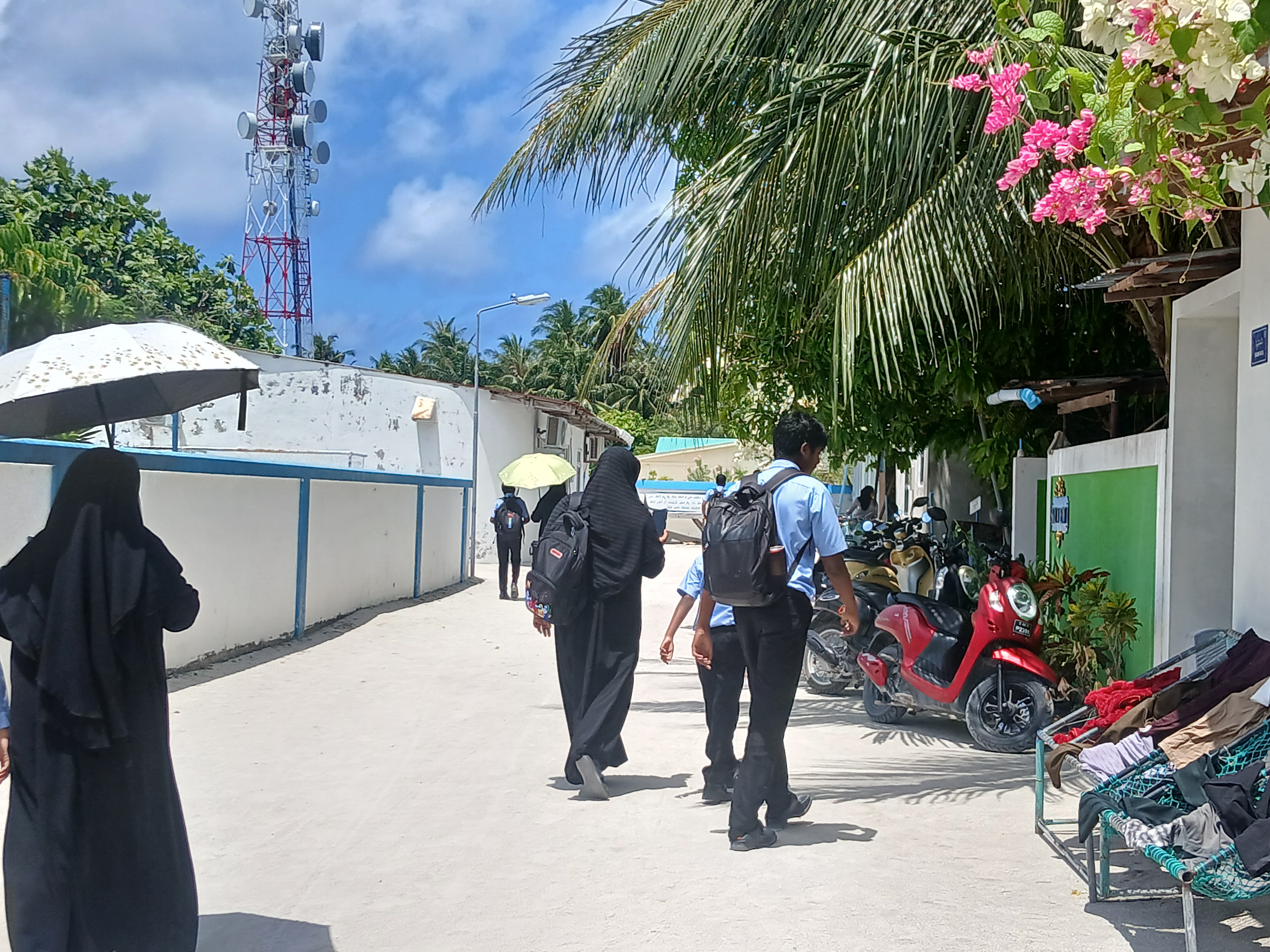 ނުކިޔަވާ މަސައްކަތެއް ނުކޮށް 16 ޕަސެންޓް ކުޑަކުދިން އުޅޭ: ސާވޭ