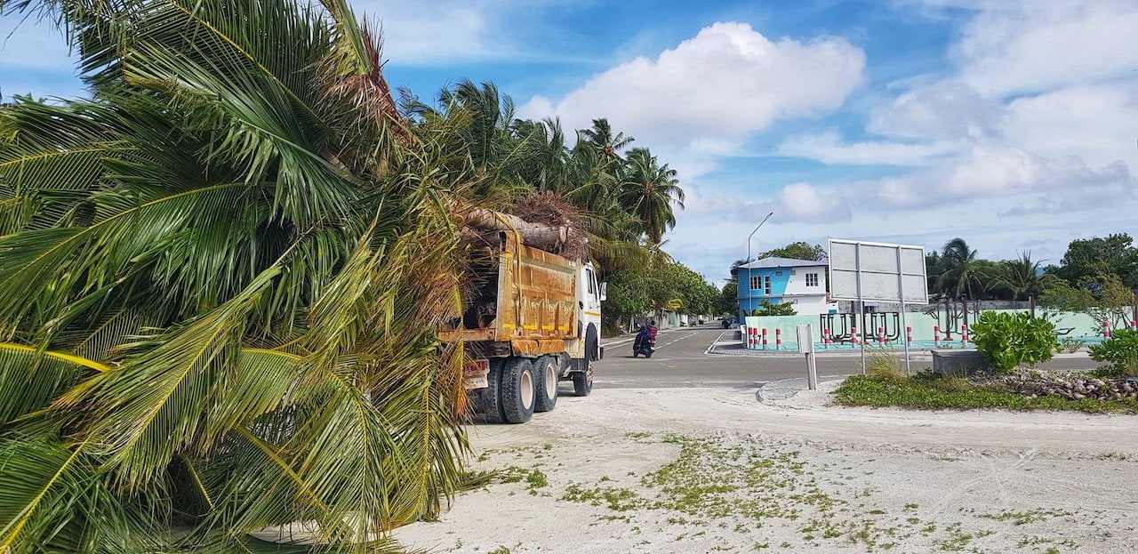 ކުޑަހުވަދޫން ބޭރުކުރަން ނެގި ރުއްތައް