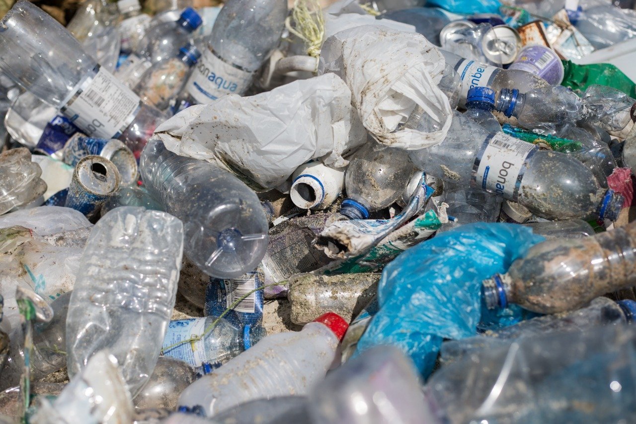 Single-Use Plastics collected from a beach. Photo: Save our waves mv/Twitter