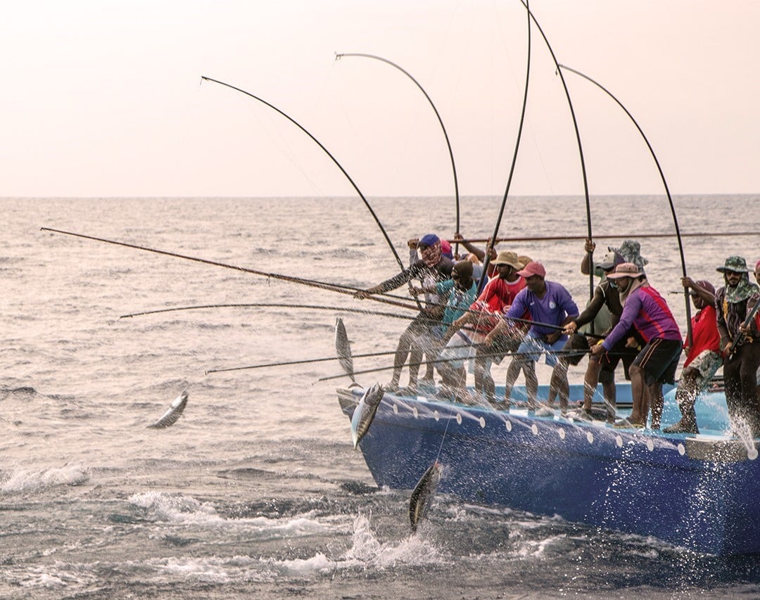 President praises fishermen as pillars of Maldivian identity