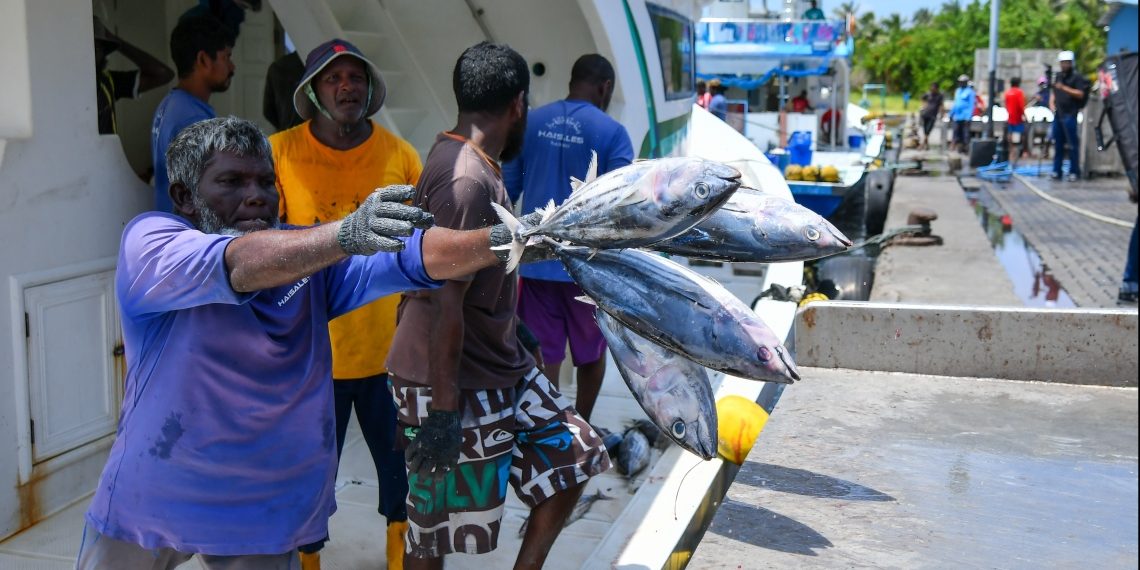 މިފްކޯއިން މަސްކިރާ ޢަދަދު ލިމިޓްކޮށްފި