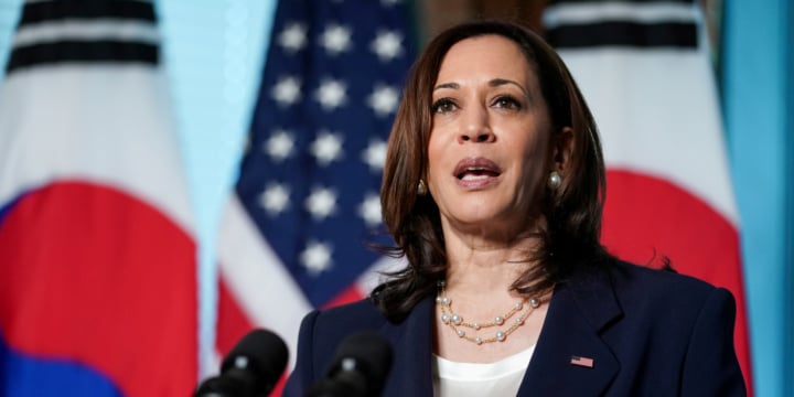 Kamala Harris urges ceasefire amid ongoing Gaza conflict, stresses opportunity for peace