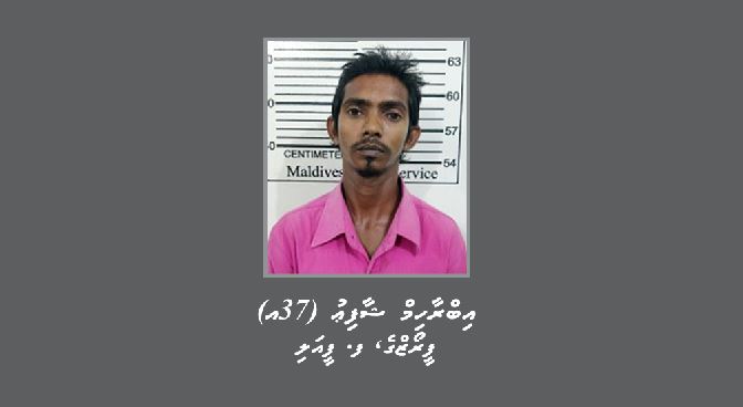 ފ. ފީއަލީ/ފީރޯޒްގެ، އިބްރާހިމް ޝާފިއު