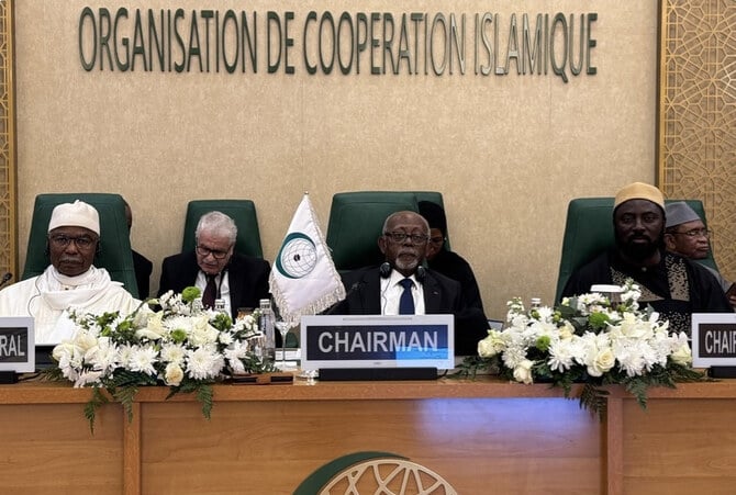 Muslim Nations endorse Arab League alternative to Trump’s Gaza plan