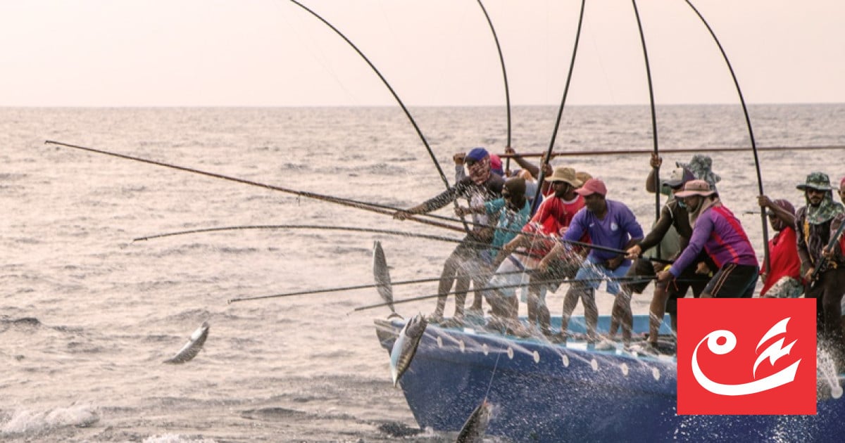 President praises fishermen as pillars of Maldivian identity