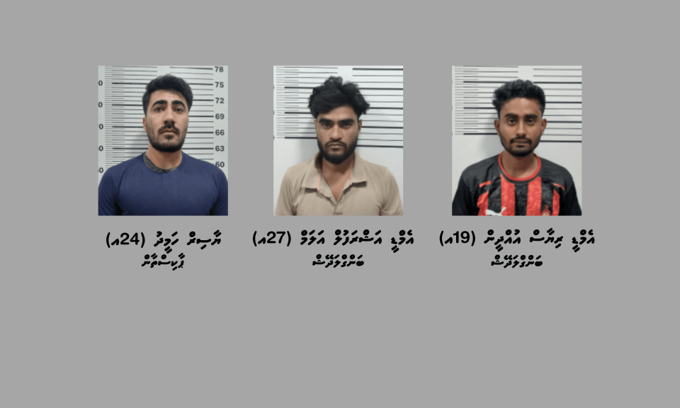 ފުލުހުން ހައްޔަރުކުރި 3 މީހުން