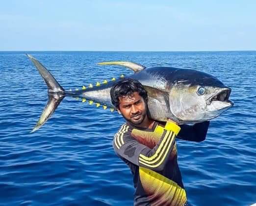 އިންޑިޔާ ކަނޑުގެ ރީނދޫއުރަހަ ކަންނެލި ރެޑްލިސްޓްކޮށް ގަތުން ހުއްޓުވައިފި