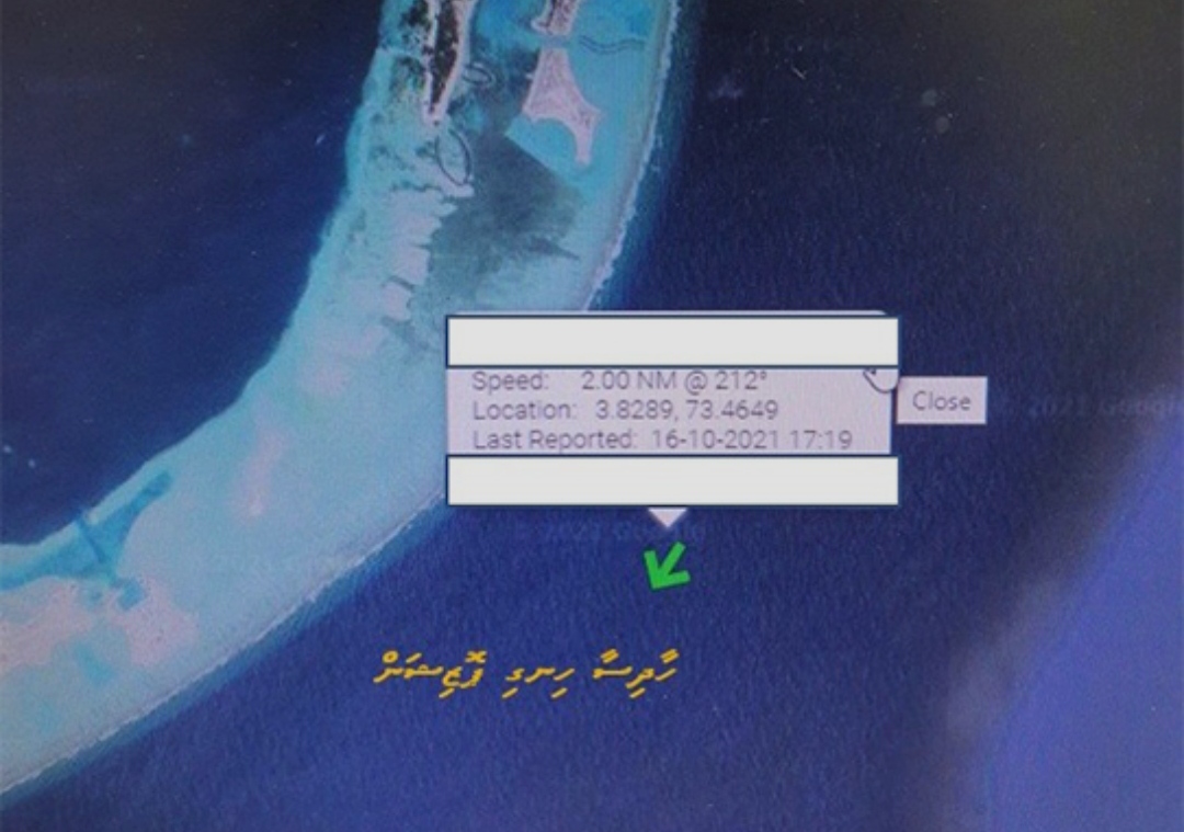 ގެއްލުނު ކުއްޖާ ހޯދަން 10 ކިލޯމީޓަރުގެ ސަރަހައްދެއް ބަލައިފި