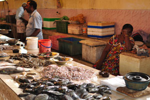 މަހެއް ކައިގެން ވިހަވި ޒުވާން އަންހެނަކު މަރުވެއްޖެ