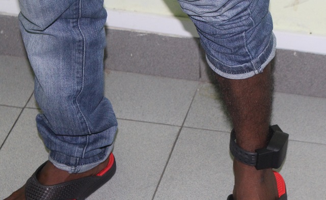 ނުރައްކާތެރި ކުށްވެރިން މޮނިޓާ ކުރުމަށް 100 ޓެގް ރާއްޖެ ގެނެސްފި