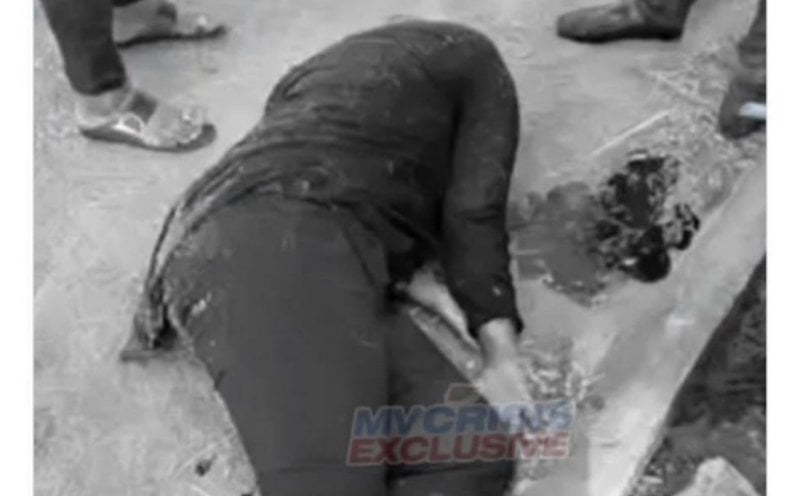 ސައިކަލު ކަހާލައިގެން ވެއްޓި އަނިޔާވީ ޑަބްލިއުޑީސީގެ މެމްބަރު އީމާނަށް