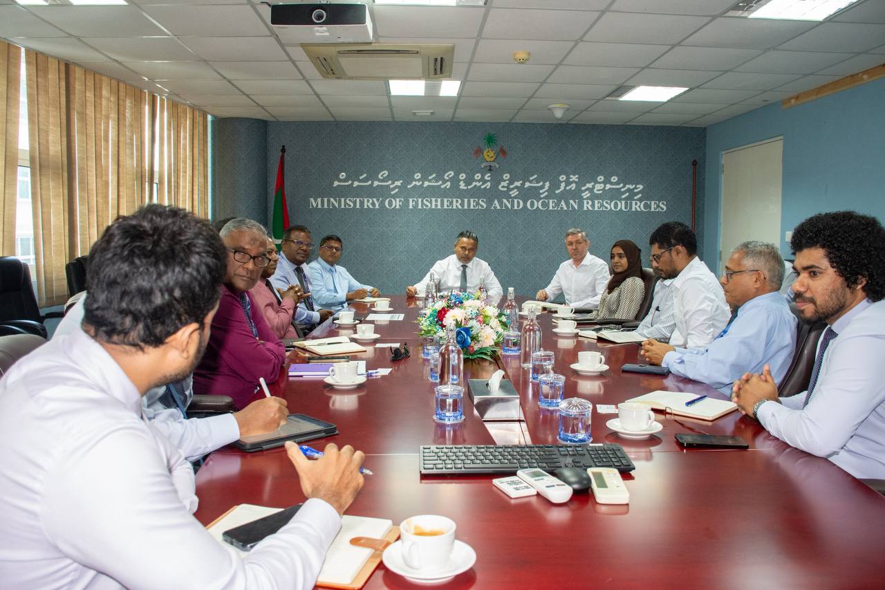 މޯލްޑިވިއަނުން ޗައިނާއަށް މަސް އެކްސްޕޯޓު ކުރުމާ ގުޅޭ މަޝްވަރާތަކެއް